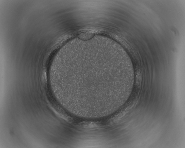 X0000111460254200908241325