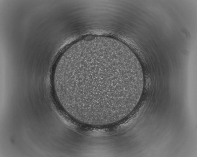 X0000111460256200908241325