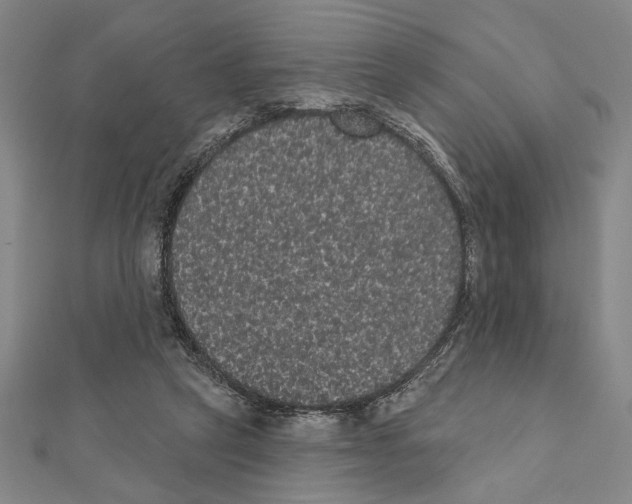 X0000111460257200908241325