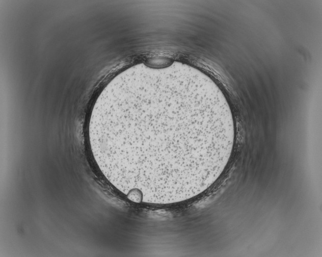 X0000111460258200908241325
