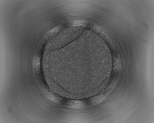 X0000111460260200908241326