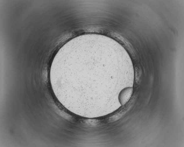 X0000111460261200908241326