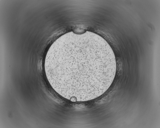 X0000111460262200908241326