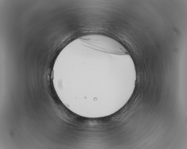 X0000111460264200908241326