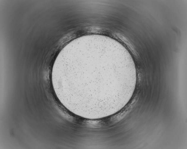 X0000111460265200908241326