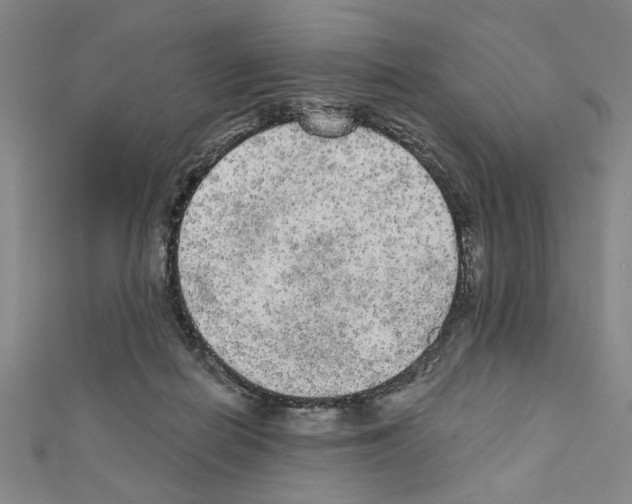 X0000111460266200908241326