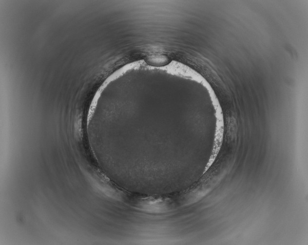 X0000111460267200908241326