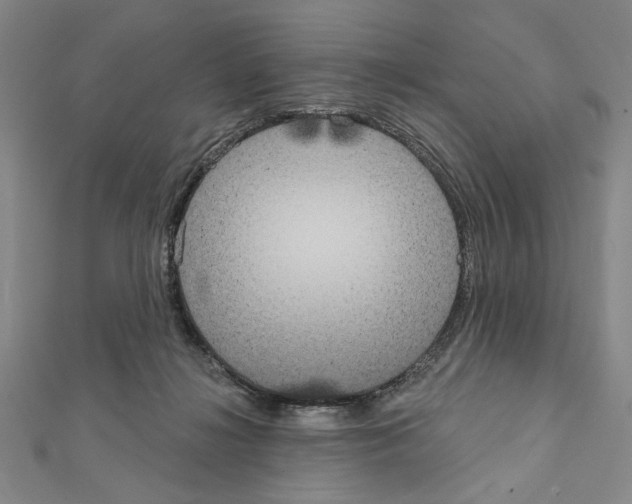 X0000111460268200908241326