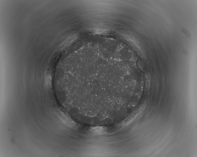 X0000111460269200908241326