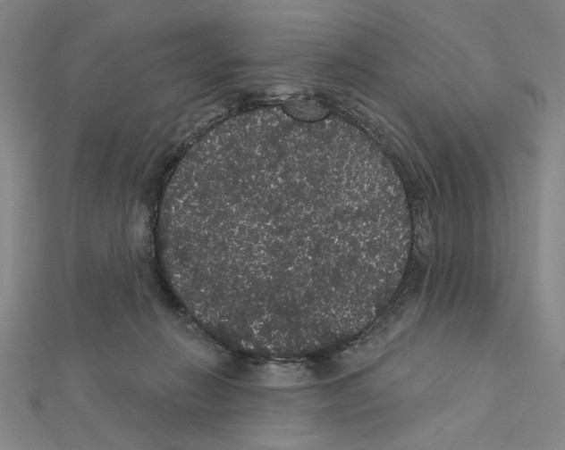 X0000111460270200908241326
