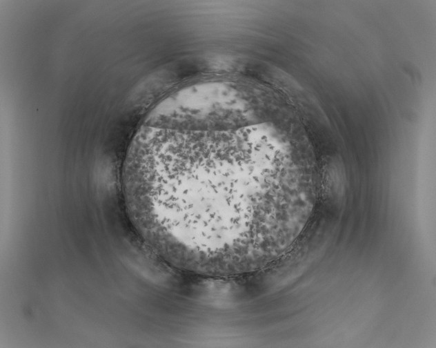 X0000111460272200908241326