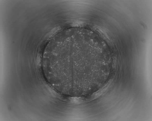 X0000111460273200908241326