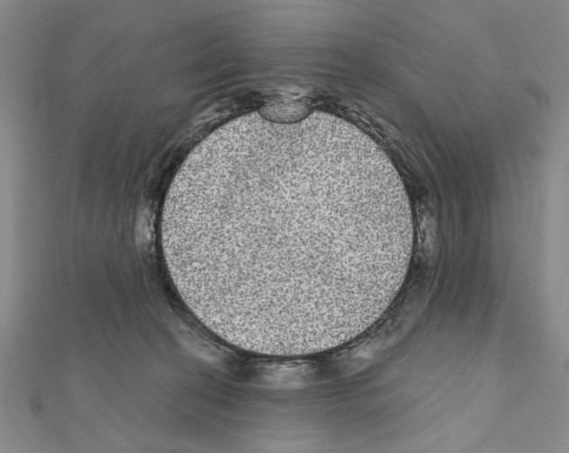 X0000111460274200908241326