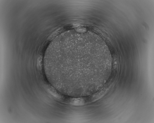 X0000111460275200908241326