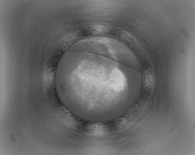 X0000111460276200908241326