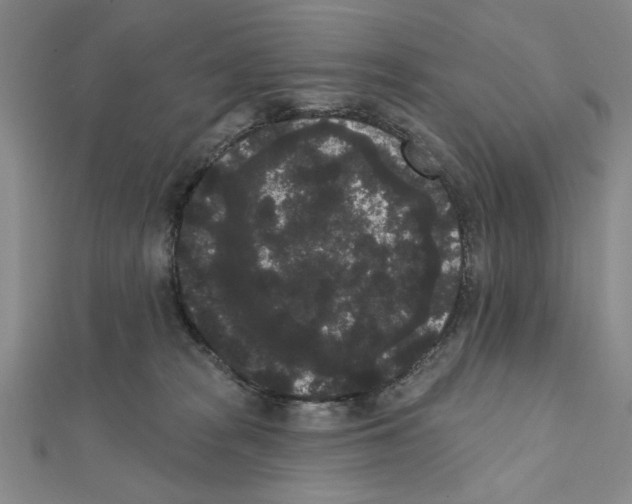 X0000111460277200908241326