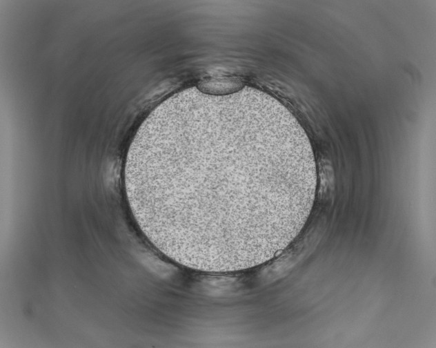 X0000111460278200908241326