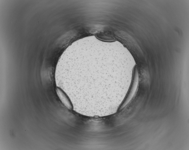 X0000111460280200908241326