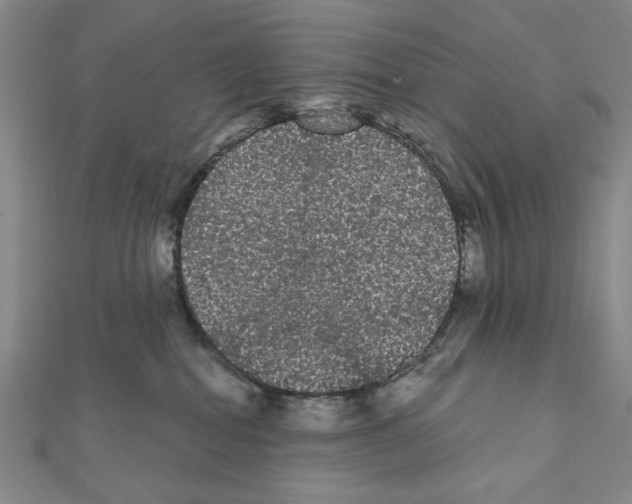 X0000111460282200908241326