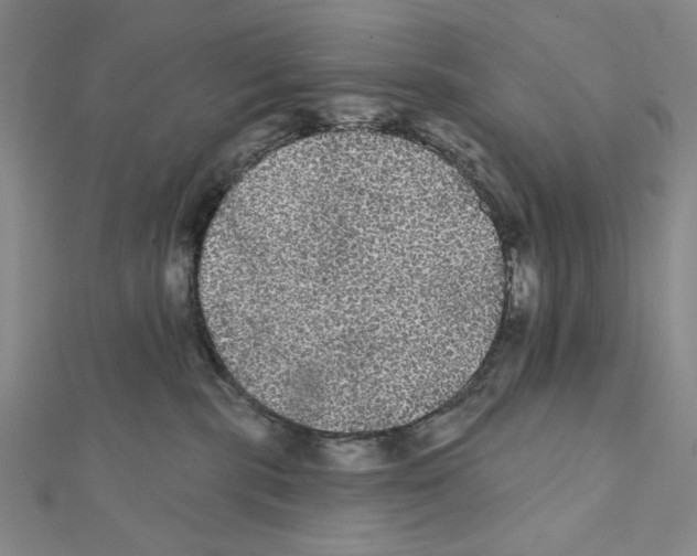 X0000111460283200908241326