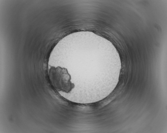 X0000111460284200908241326