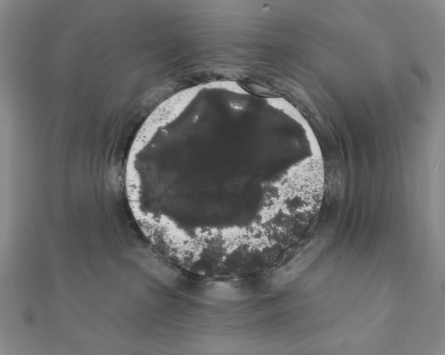 X0000111460285200908241326