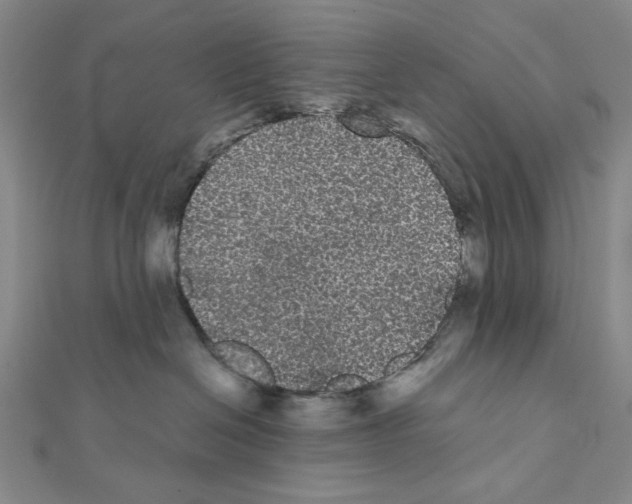 X0000111460286200908241326