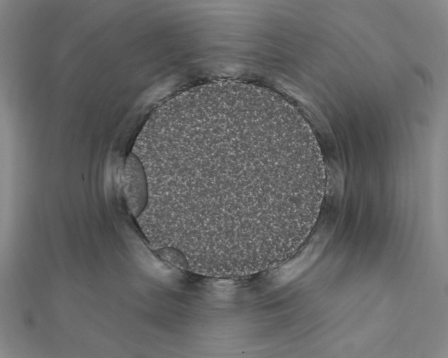 X0000111460287200908241326
