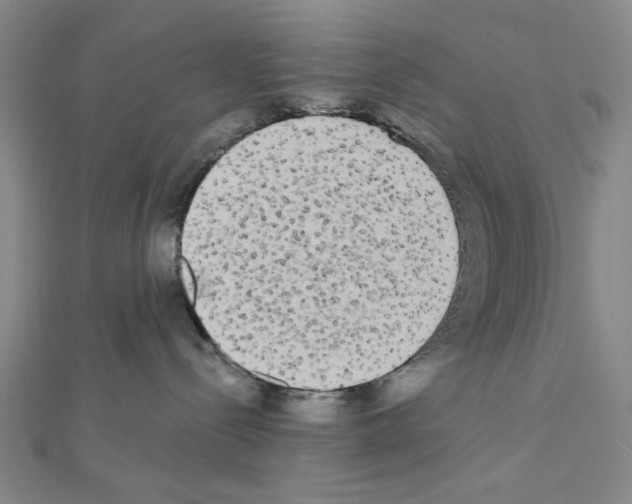 X0000111460288200908241326