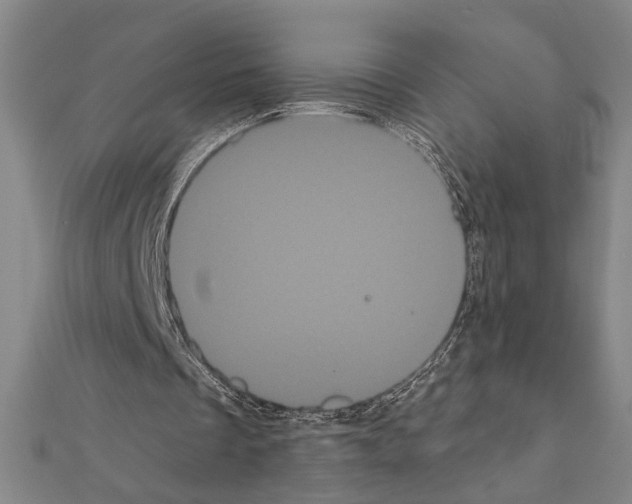 X0000111460289200908241325