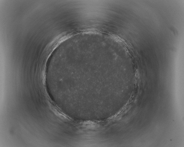 X0000111460290200908241325