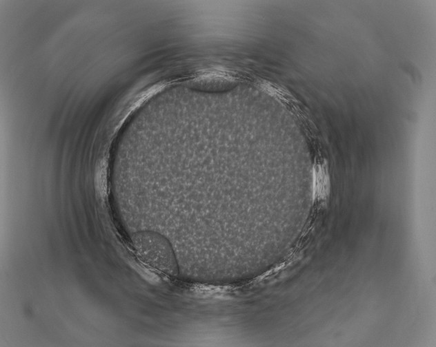X0000111460291200908241325