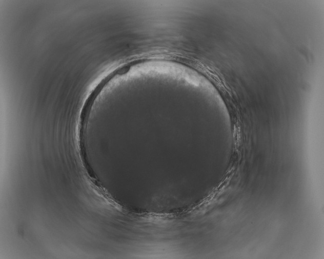 X0000111460292200908241325