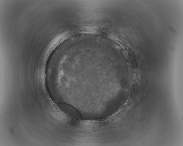 X0000111460293200908241325