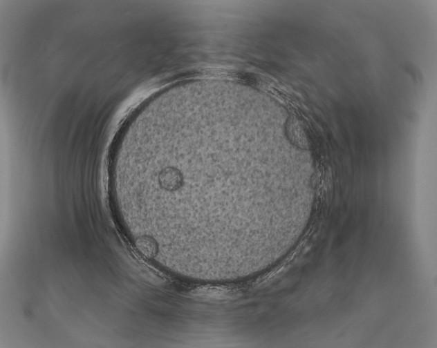 X0000111460294200908241325