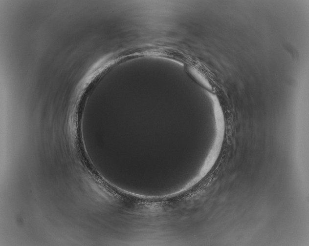 X0000111460295200908241325