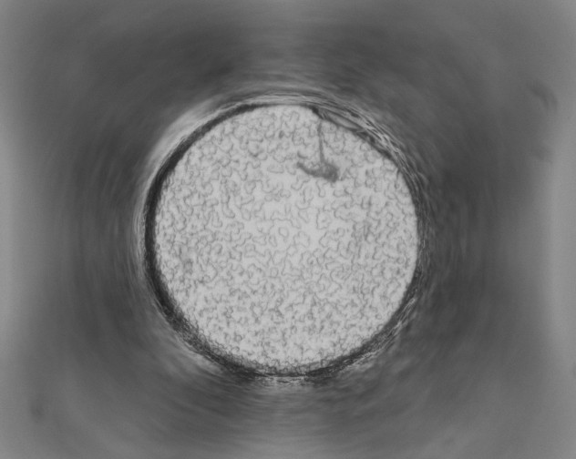 X0000111460296200908241325