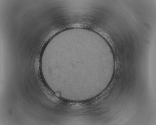 X0000111460297200908241325