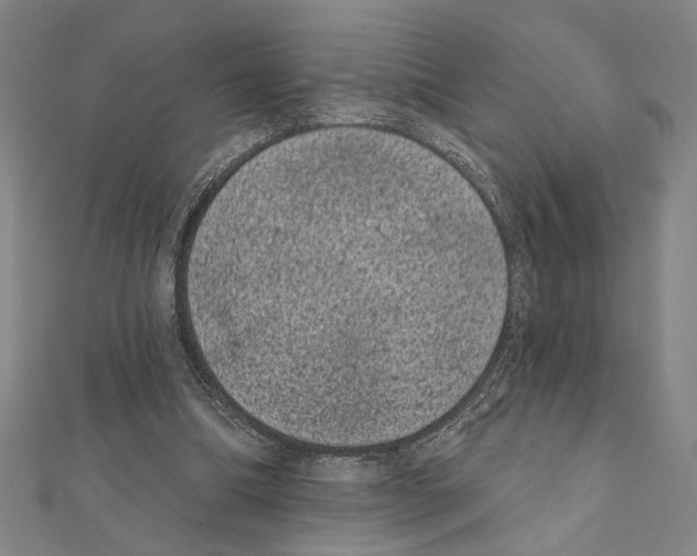 X0000111460298200908241325