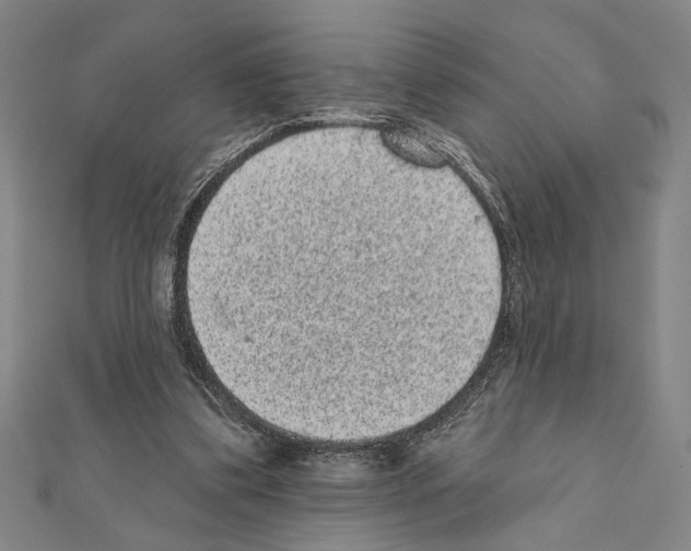X0000111460299200908241325