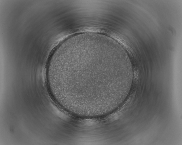 X0000111460302200908241325