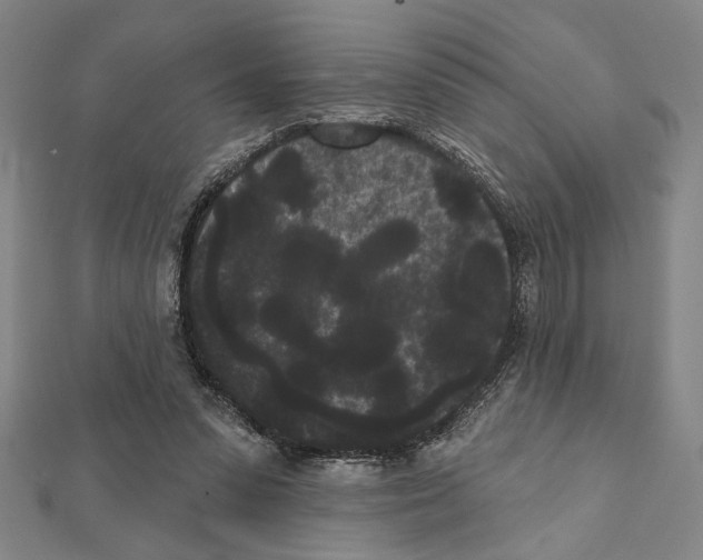 X0000111460303200908241325