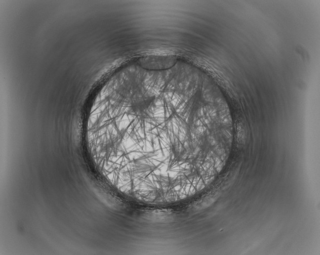 X0000111460304200908241325