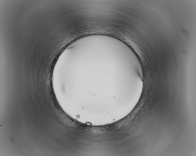 X0000111460305200908241325