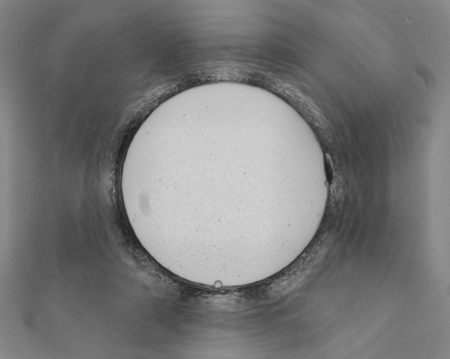 X0000111460306200908241325