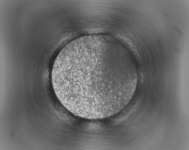 X0000111460308200908241325