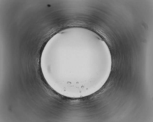 X0000111460309200908241325