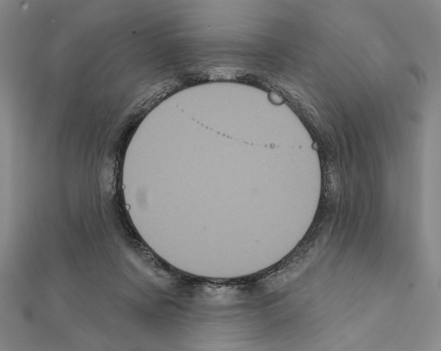 X0000111460311200908241325