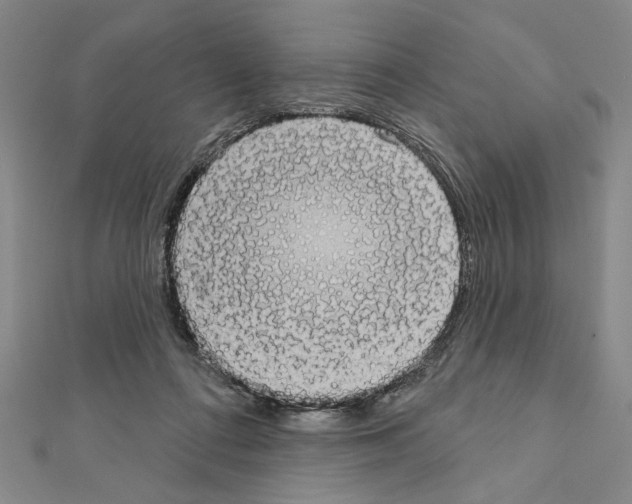 X0000111460312200908241325