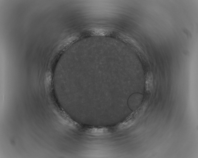 X0000111460314200908241325
